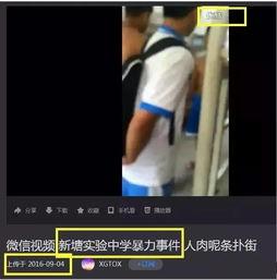 双流抖音爆料事件视频,揭秘背后真相与网络舆论风暴